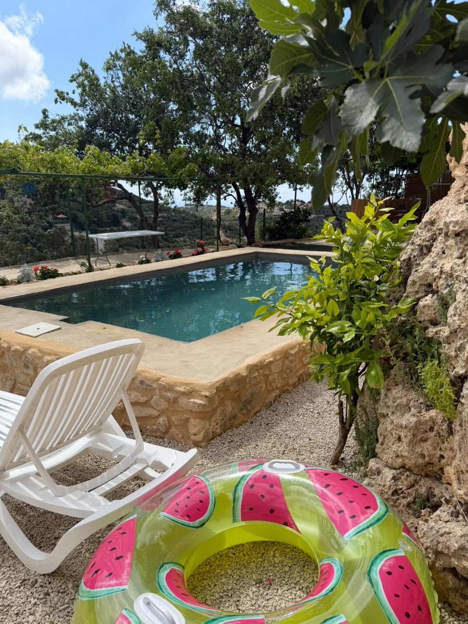 guesthouse in Edde, photo 10