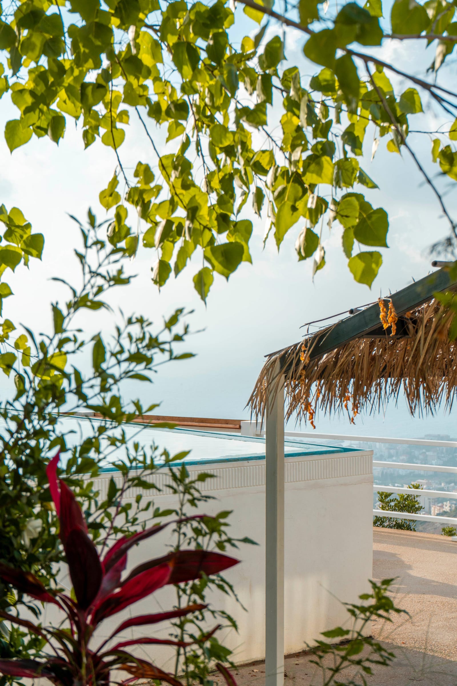 Bungalows in Edde for Night Stay, photo 13