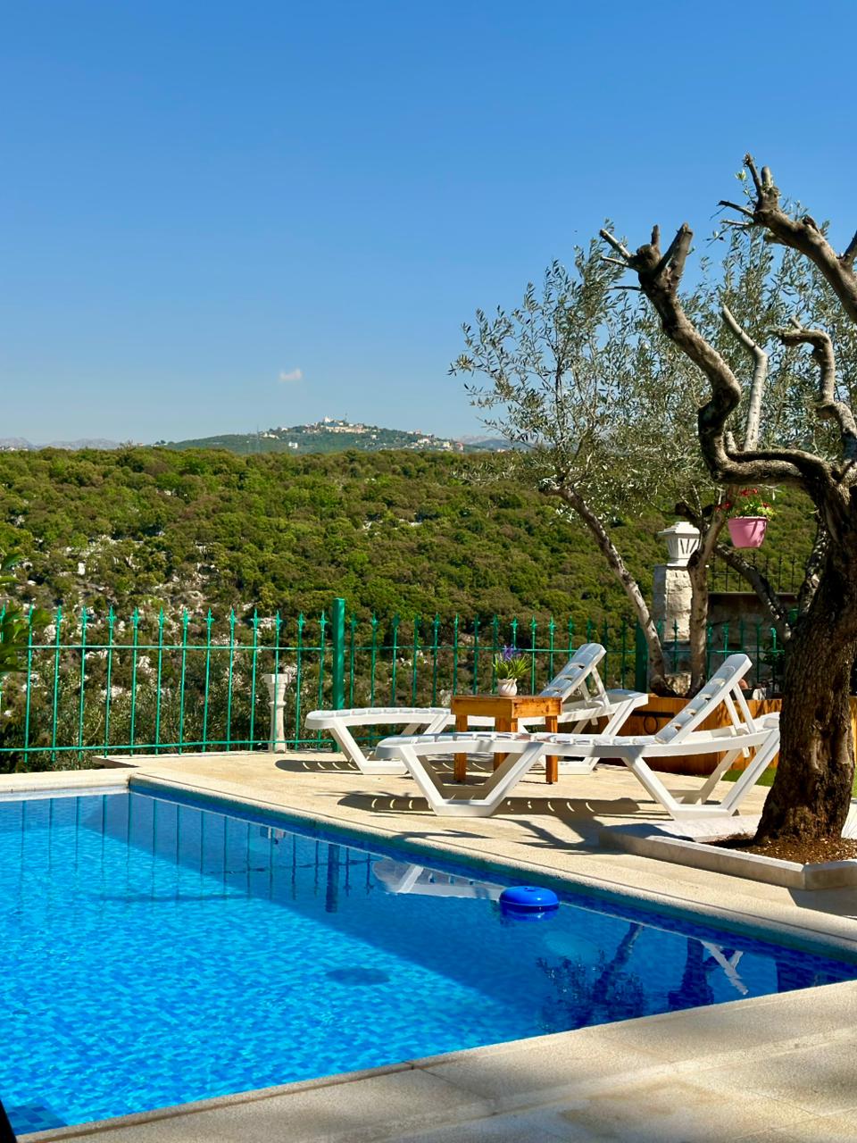 Guest House in Deria, photo 14