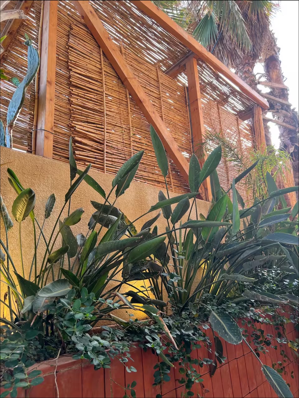 guesthouse in kfaraabida
