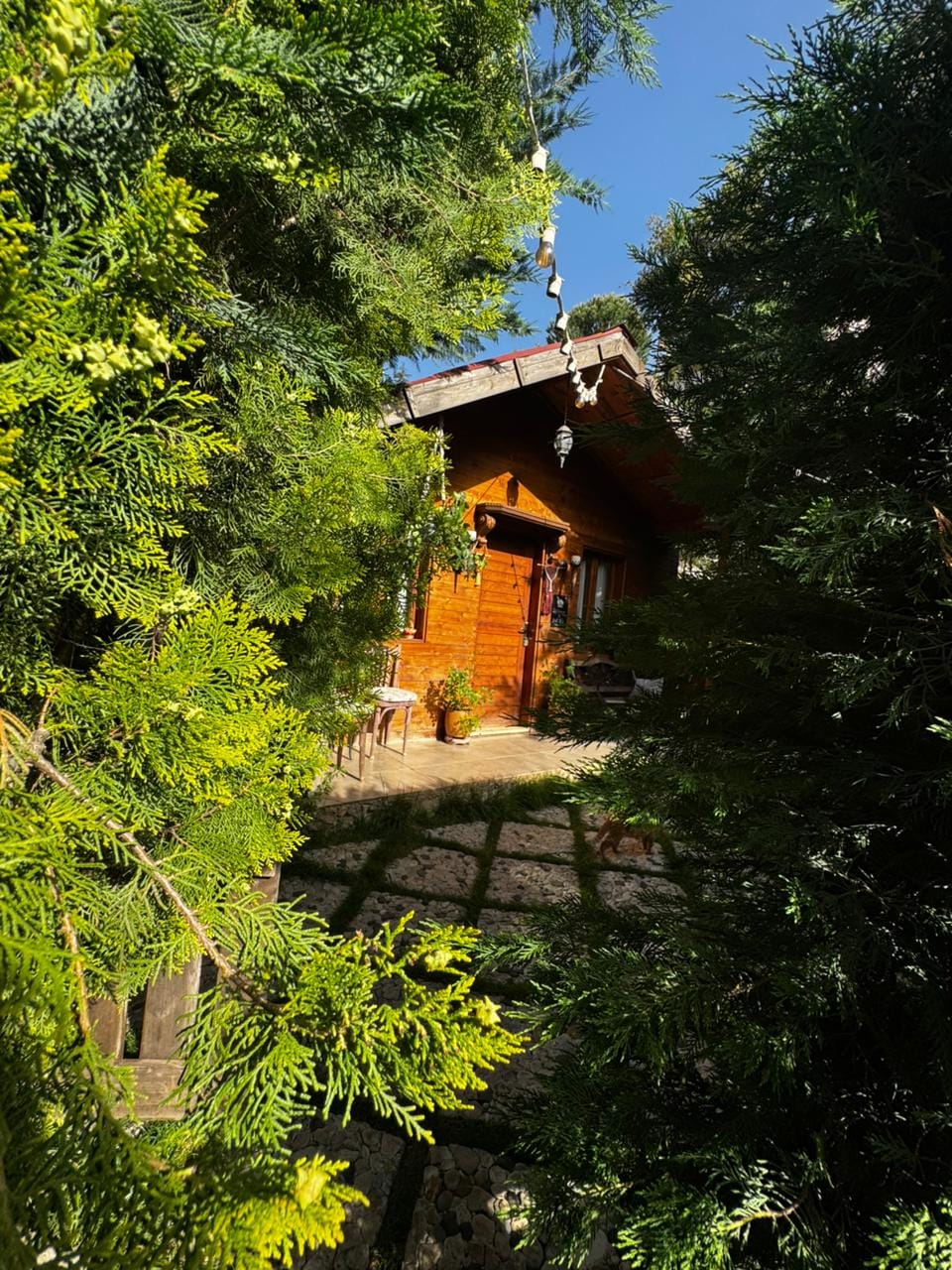 Bungalow in Tanurine-Al-tahta, photo 4